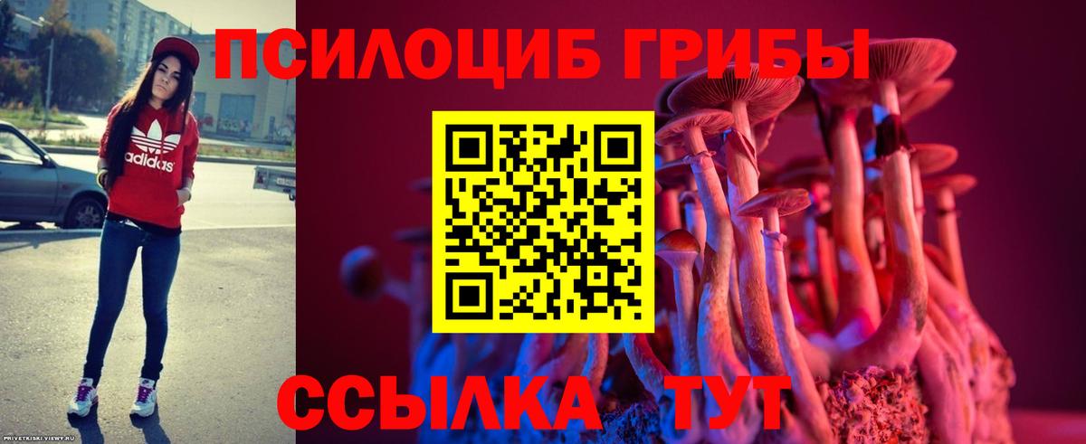 Псилоцибиновые грибы ЛСД Ростов-на-Дону
